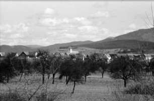 Steinenstadt: Blick aus dem Rheinwald von Westen auf Steinenstadt