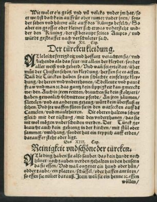 Das XIII. Cap. Reinigkeit und schöne der türcken.