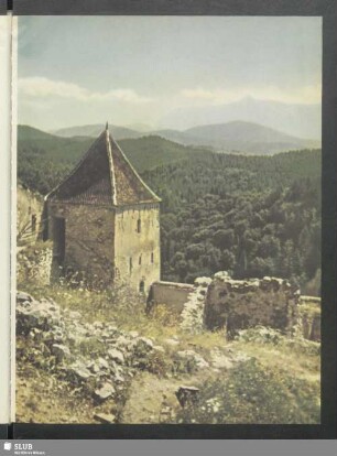 Blick von der Bauernburg Rosenau
