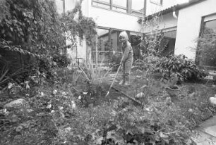 Hinterhofwettbewerb des städtischen Gartenbauamts zur Verbesserung und Begrünung von Innen- und Hinterhöfen