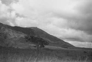 Bruchstufe bei Mufindi : Gebirgskette bei Mufindi mit vorgelagerter Steppenlandschaft und Baum