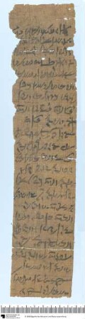 Demotischer Papyrus, Hochformatbrief des Horos an drei Priester des Haroeris