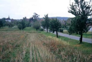 Streuobstwiese am Ortsrand; Straße mit Obstbäumen