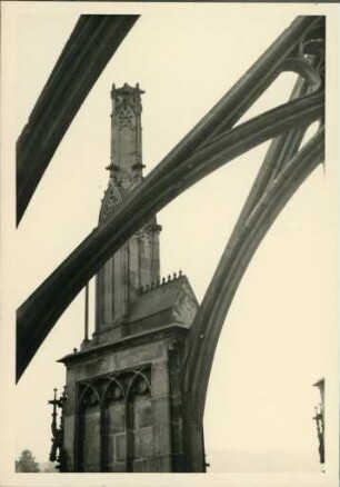 Das Freiburger Münster