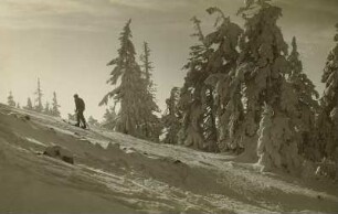 Osterzgebirge. Skiläufer beim Aufstieg zum Kahleberg
