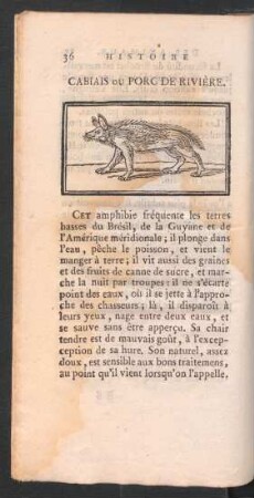 [Cabiais. - Cygne.]