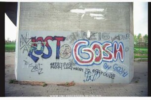 LOST GOSH
