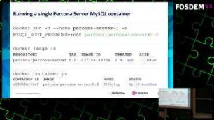 Exploring Database Containers