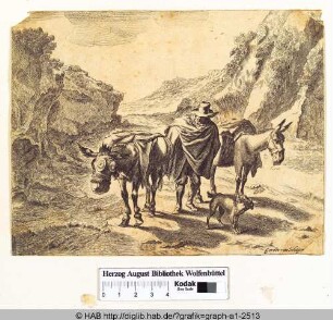 Mann mit zwei Eseln und einem Hund in einer felsigen Landschaft.