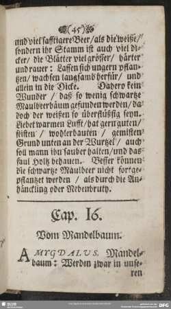 Cap. 16. Vom Mandelbaum