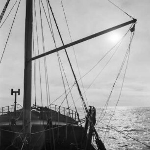 Auf dem offenen Meer, Männer am Netz, Fischdampfer PC312 Tirol