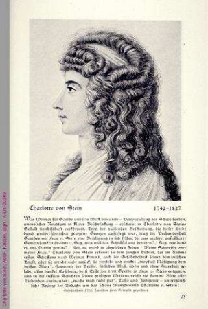 Porträt von Charlotte von Stein