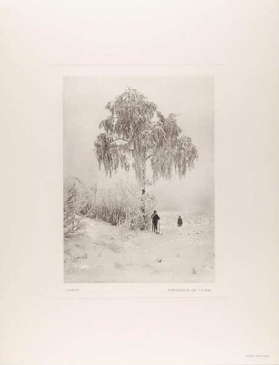 "Vintersol og Taage" aus der Mappe "Norske Motiver. I fotografier efter naturen"