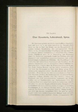 VII. Kapitel. Über Dysenterie, Leberabszeß, Sprue