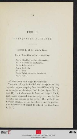 Part II: Transverse elements
