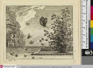 [Die Rose und der Schmetterling; La Rose et la Papillon]