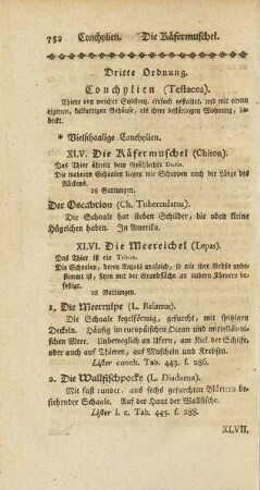 Dritte Ordnung. Conchylien