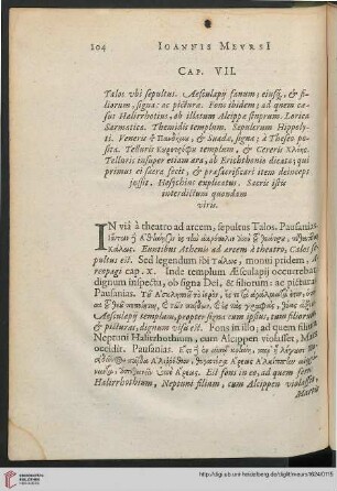 Cap. VII