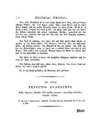 Tab. XXVII. Testudo Planiceps : Plattköpigte Schildkröte