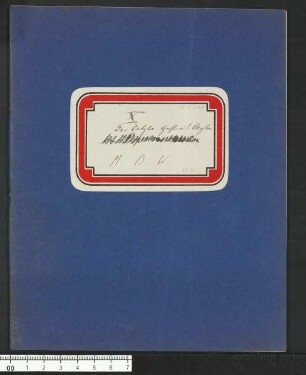 Das Mangobaumwunder (römische Kapitel-Zählung) - Kapitel X, Der letzte Gast aus Ceylon