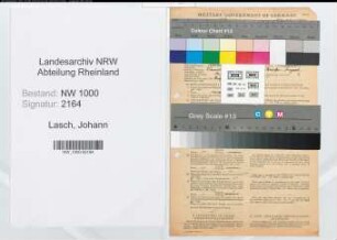 Entnazifizierung Johann Lasch, geb. 15.02.1898 (Kaufm.-Angest.)