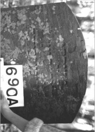 Grabstein 690 (Index: 99900520) Material: Sandstein Zustand: gut erhalten Maße HxBxT: 90x57x6 cm Beschreibung: Stele mit Segementbogenabschluss, vom Oberrahmen eingeritzte, herabhängende Blüte, darunter Levikenkanne Symbolik: Levitenkanne, Blüte: Grabstein 690A