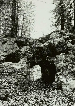 Osterzgebirge, Bergbaurevier Niederpöbel-Sadisdorf, Hilfe Gottes Fundgrube, verfallene Rösche in den Zinnklüften