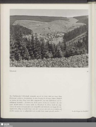 Fehrenbach