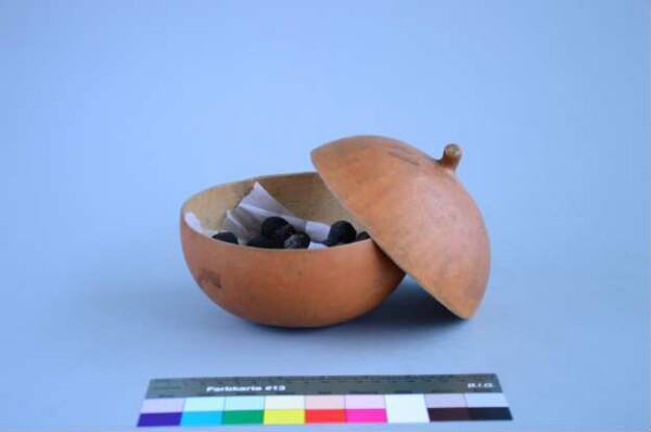 Medical calabash