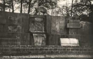 Leipzig: Zoologischer Garten ; Eisbärengruppe