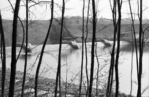 Rheinau: Kraftwerk Rheinau Rheinfall; Kulturwehr, vom deutschen Ufer, durch Bäume gesehen