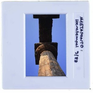Metaponto, Tavole Palatine,Metaponto, Ruinenfeld : Säule und Architrav