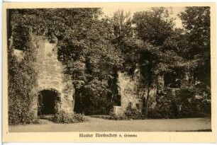Grimma. Nimbschen Klosterruine
