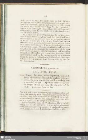 Ammonites quadratus. Tab. XVII. - Fig. 3