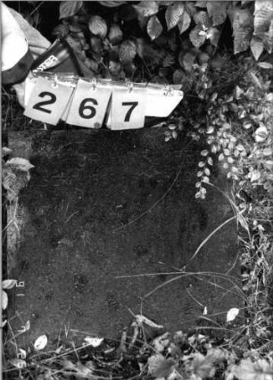 Grabstein 267