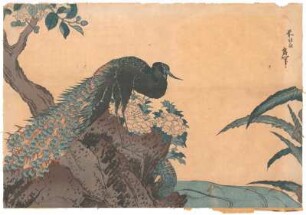 Japanische Druckgrafiken : Privatsammlung G. Kleinhempel, Konvolut aus sieben asiatischen Druckgrafiken