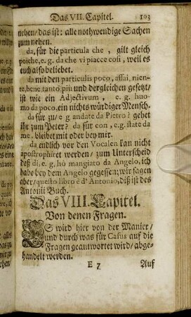 Das VIII. Capitel. Von denen Fragen