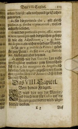 Das VIII. Capitel. Von denen Fragen