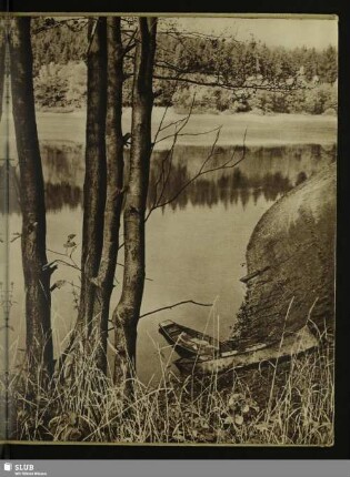 Am Kunstteich (Südharz)