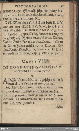 Caput VII. De Cognatis Quibusdam vocabulis Latinis in specie