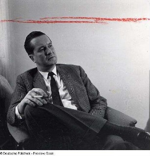 Portraitserie William Styron