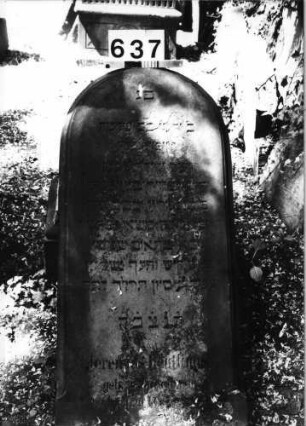 Grabstein 637 (Index: 99630139) Material: Sandstein Zustand: verwittert/geringer Textverlust Maße HxBxT: 150x60x28 cm Beschreibung: Stele mit Rundbogenabschluß, Sockel: Grabstein 637
