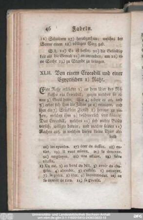 XLII. Von einem Crocodill und einer Egyptischen Ratze.