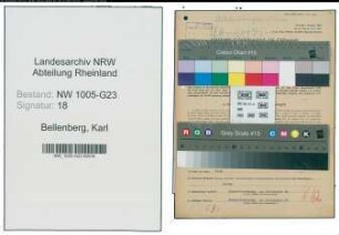 Entnazifizierung Karl Bellenberg , geb. 05.04.1901 (Fabrikant)