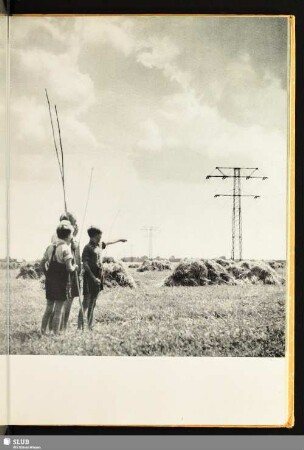 [Die Kinder auf dem Feld]