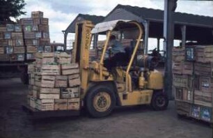 Fotografie: Gartenbautechnik, Transport, Gabelstapler, Kopfkohl