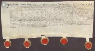 Instrumentum probationis des Lothar Karl Franz Joseph Schenk von Schmidtburg.