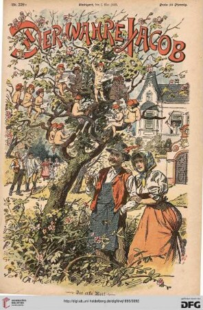 Nr. 229 (1. Mai 1895)