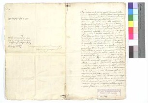 Vidimierte Kopie der Urkunde Bischof Heinrichs von Straßburg von 1220, mit der er die Gründung des Klosters Allerheiligen bestätigt.