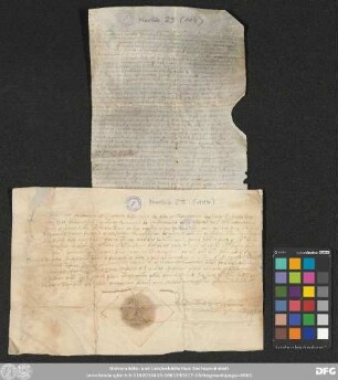 [Halle (Saale), Universitäts- und Landesbibliothek Sachsen-Anhalt, Morbio 23 (114)]